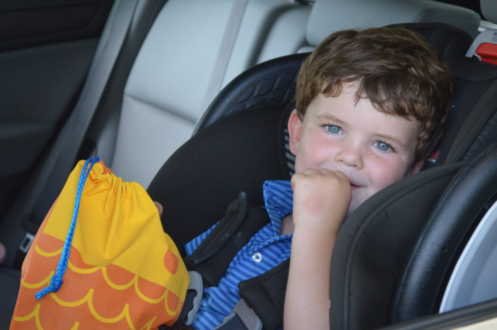 Happy kid in the car