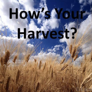 3/21 UPSIDE DOWN #5: Hows Your Harvest?