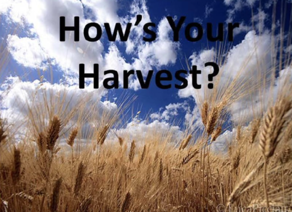 3/21 UPSIDE DOWN #5: Hows Your Harvest?