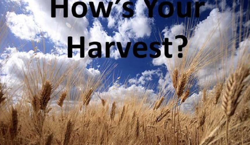 3/21 UPSIDE DOWN #5: Hows Your Harvest?